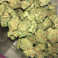 User uploaded image of Alaska Thunder Grape