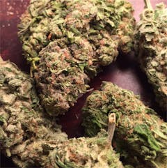 User uploaded image of Alaska