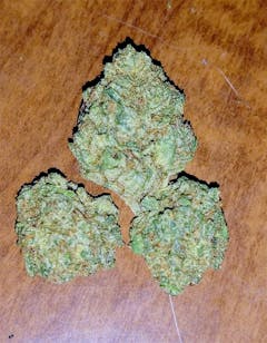 User uploaded image of Alaskan Thunder Fuck