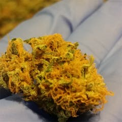 User uploaded image of Alaskan Thunder Fuck