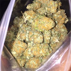 User uploaded image of Alaskan Thunder Fuck