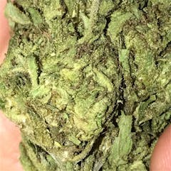 User uploaded image of Alaskan Thunder Fuck