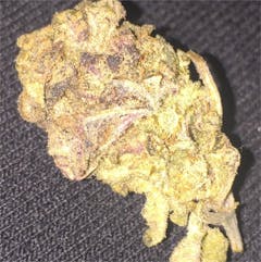 User uploaded image of Alaskan Thunder Fuck