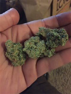 User uploaded image of Albert Walker