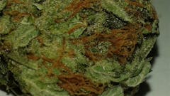 User uploaded image of Alice in Wonderland