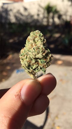 User uploaded image of Alice in Wonderland