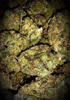 User uploaded image of Alice in Wonderland