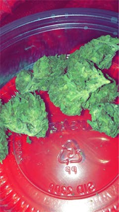 User uploaded image of Alice in Wonderland