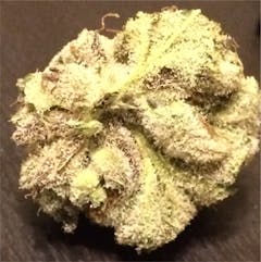 User uploaded image of Alien Abduction