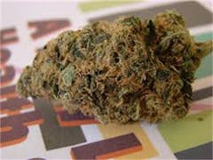 User uploaded image of Alien Asshat