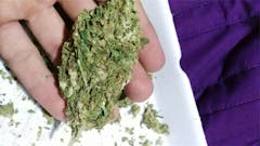 User uploaded image of Alien Bubba