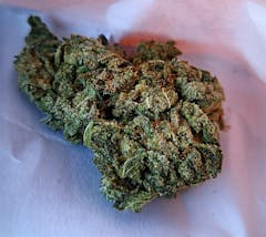 User uploaded image of Alien Dawg