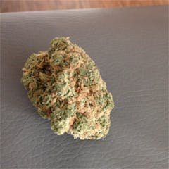 User uploaded image of Alien Dawg
