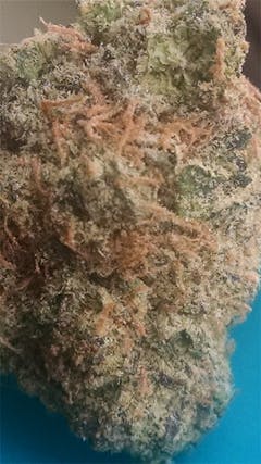 User uploaded image of Alien Dawg