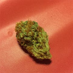 User uploaded image of Alien Dawg