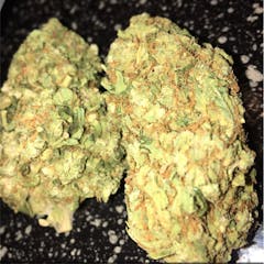 User uploaded image of Alien Dawg