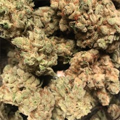 User uploaded image of Alien Dawg
