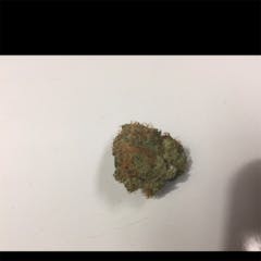 User uploaded image of Alien Dutchess