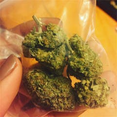 User uploaded image of Alien Hallucination