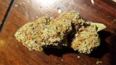 User uploaded image of Alien Hallucination