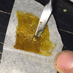 User uploaded image of Alien Hallucination