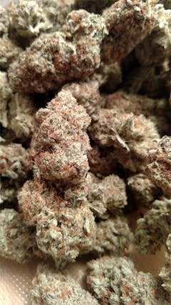 User uploaded image of Alien Hallucination