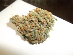 User uploaded image of Alien Hallucination