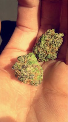 User uploaded image of Alien Inferno