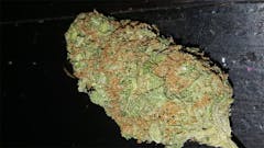 User uploaded image of Alien Kush