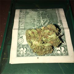 User uploaded image of Alien Kush