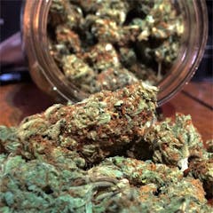 User uploaded image of Alien Kush