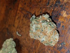 User uploaded image of Alien Kush