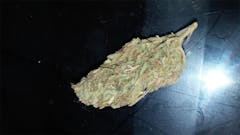 User uploaded image of Alien Kush