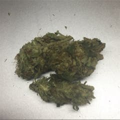 User uploaded image of Alien OG