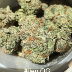 User uploaded image of Alien OG