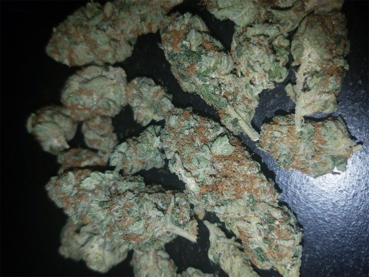 Alien og сорт описание