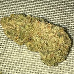 User uploaded image of Alien OG