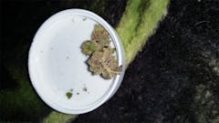 User uploaded image of Alien Reunion