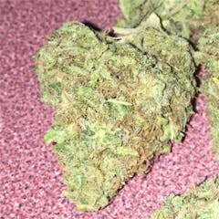 User uploaded image of Alien Rift