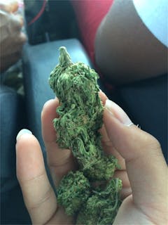 User uploaded image of Alien Sour Apple