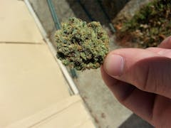 User uploaded image of Alien Sour Apple