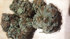 User uploaded image of Alien Stardawg