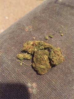 User uploaded image of Alien Stardawg