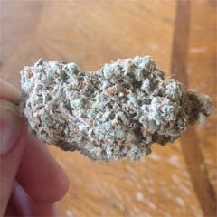 User uploaded image of Alien Technology