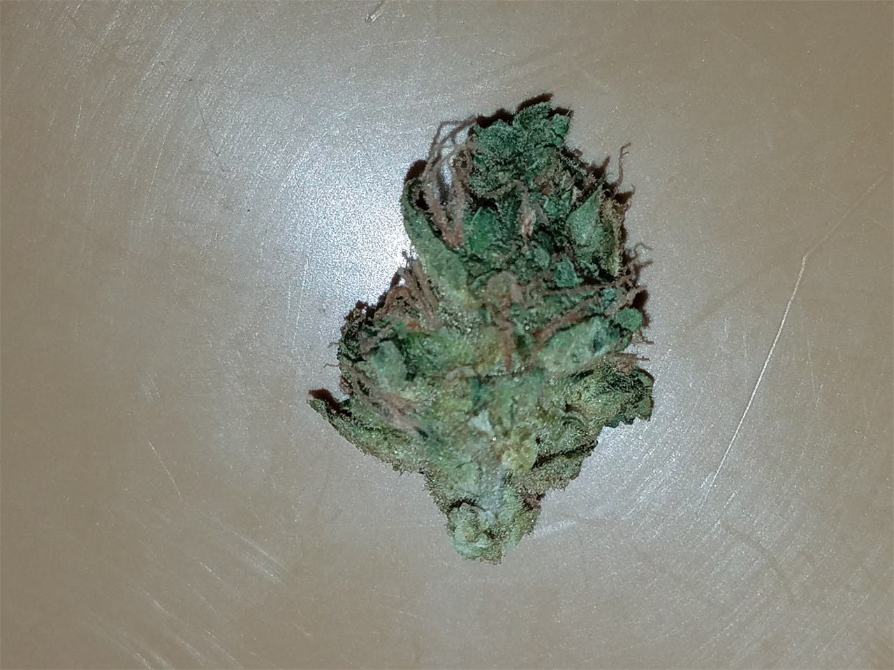 Aliens On Moonshine Weed Strain Effects & Reviews Leafly