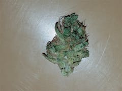 User uploaded image of Aliens On Moonshine