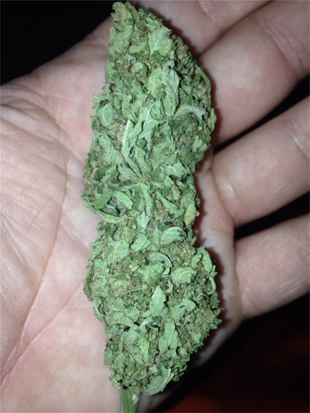 Photos of Allen Wrench Weed Strain Buds Leafly