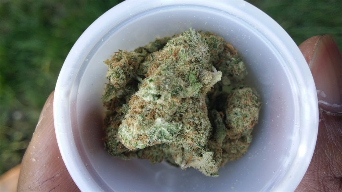 Photos of Allen Wrench Weed Strain Buds Leafly