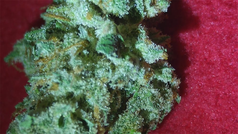 Photos of Allen Wrench Weed Strain Buds Leafly