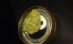 User uploaded image of Aloha Limone